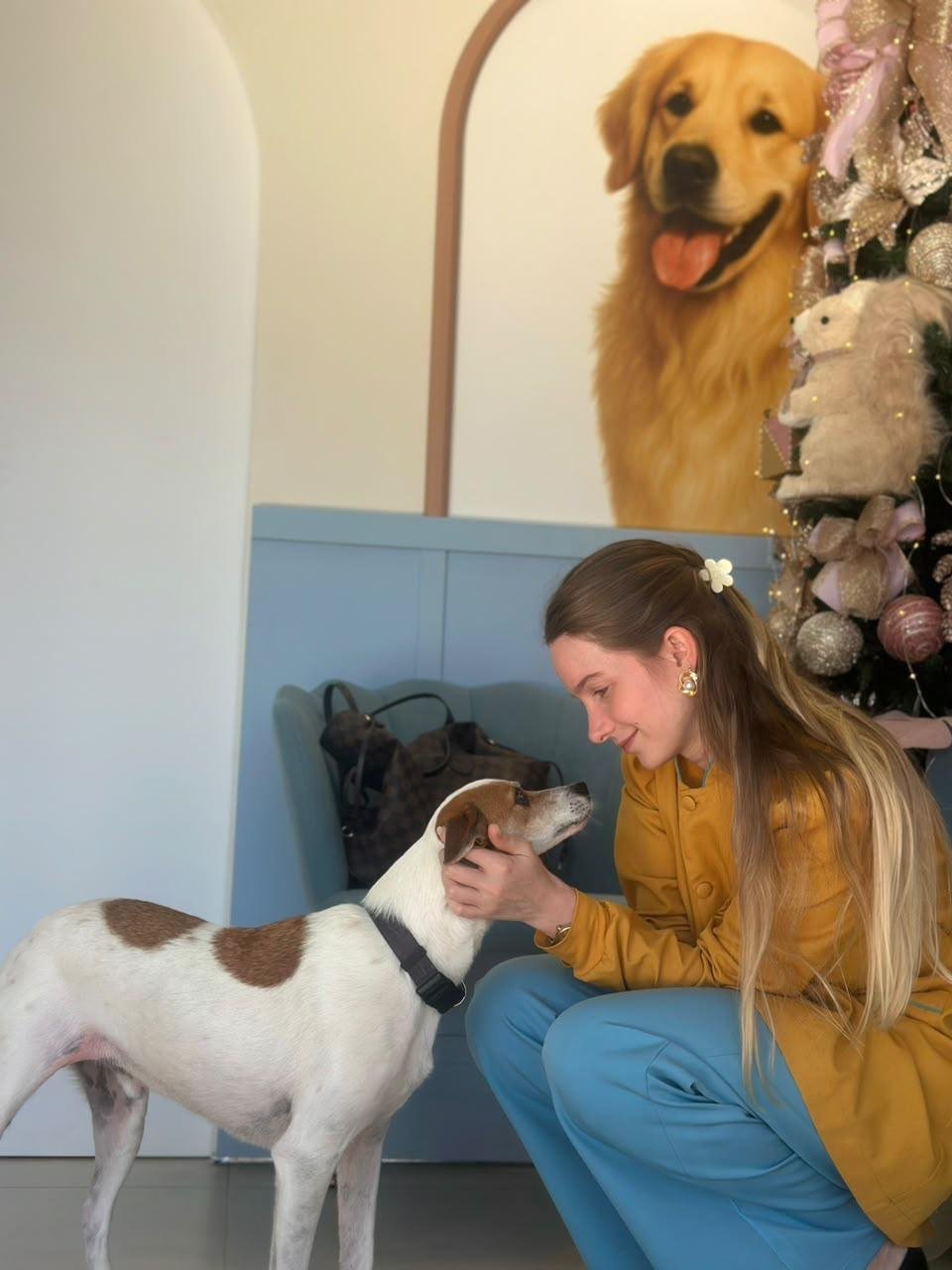 Dra. Diuly Correa Böger acariciando um cão branco e marrom na recepção da Alluvie.