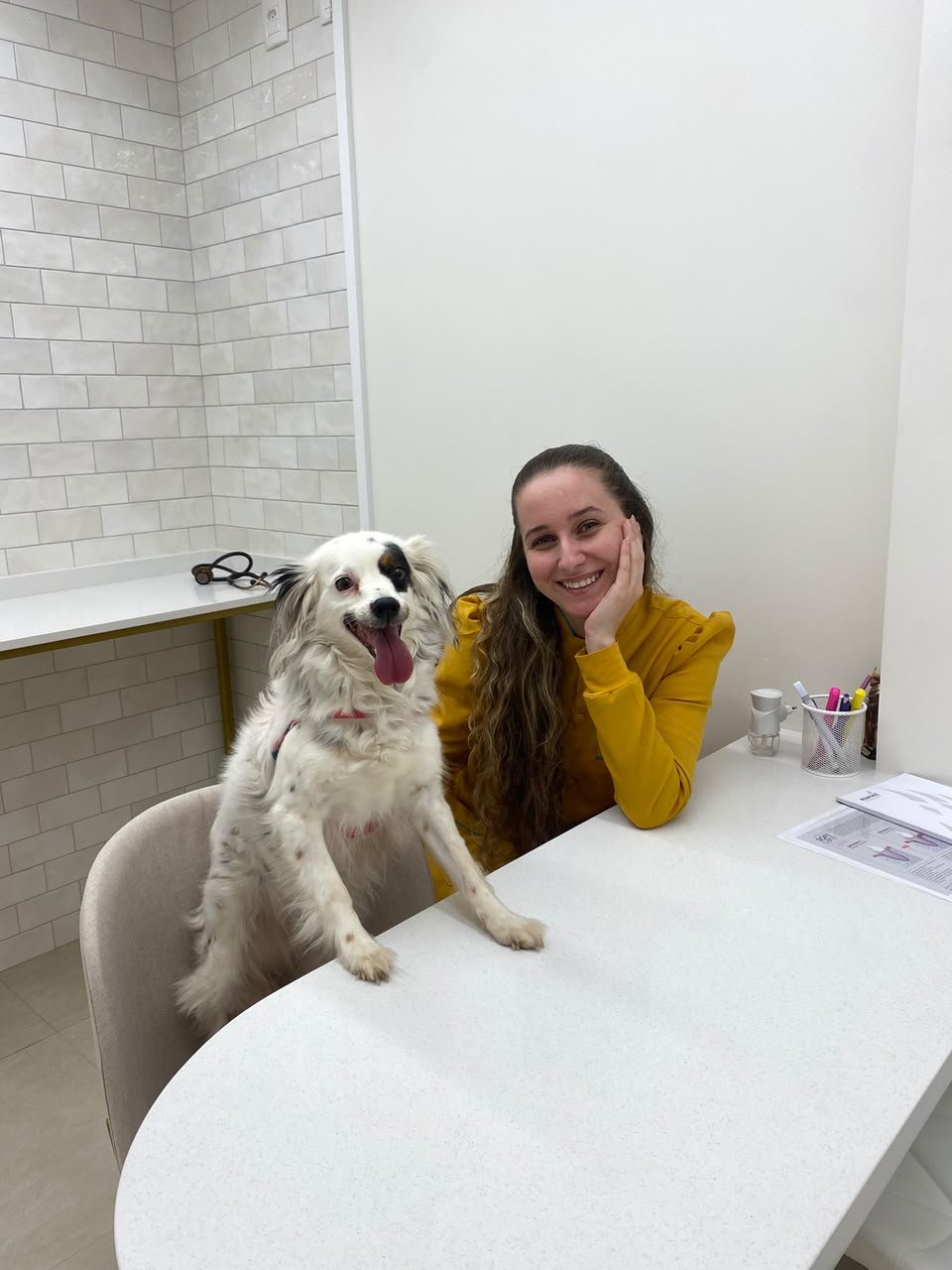 Dra. Emily Silvestre ao lado de um cão branco e preto sobre uma mesa na Alluvie.