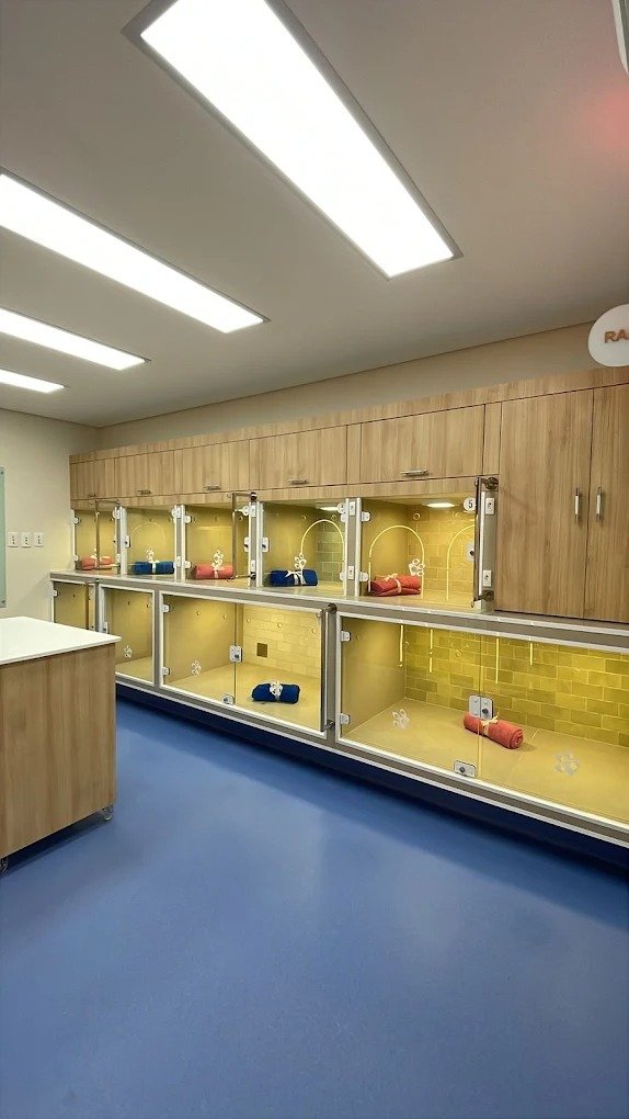 Área de internação da Alluvie com acomodações individuais e piso azul.
