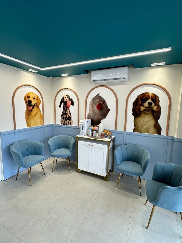 Sala de espera da Alluvie com cadeiras azuis e retratos de animais nas paredes.